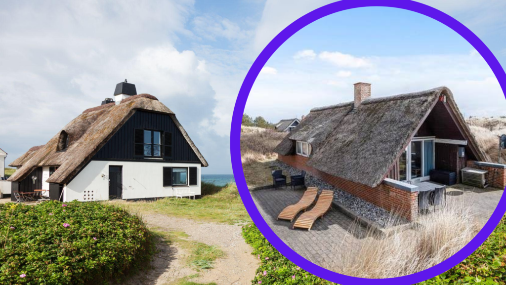 Urlaub mit Hund in Dänemark