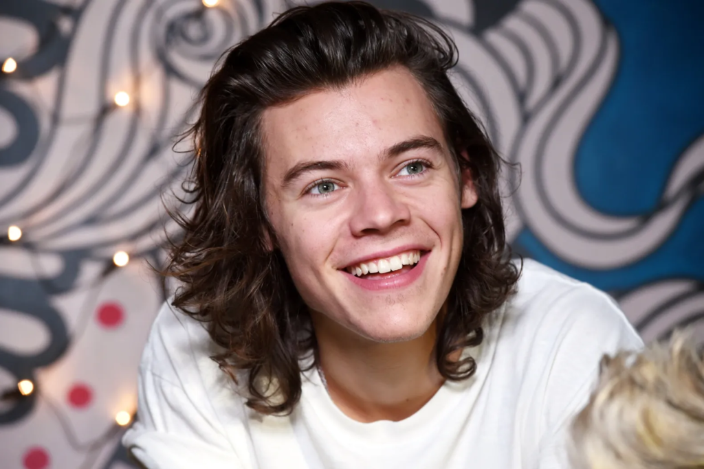 alt="Harry Styles Freundin 2025 – aktueller Beziehungsstatus" />