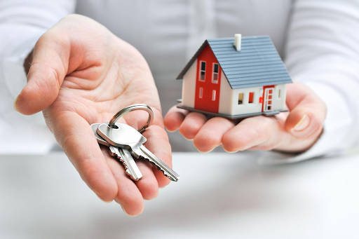 Immobilienexperte