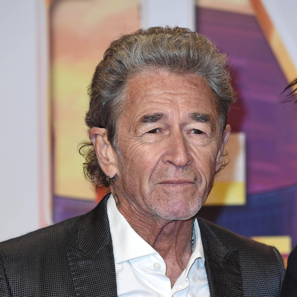 peter maffay vermögen karriere und erfolg rocklegende
