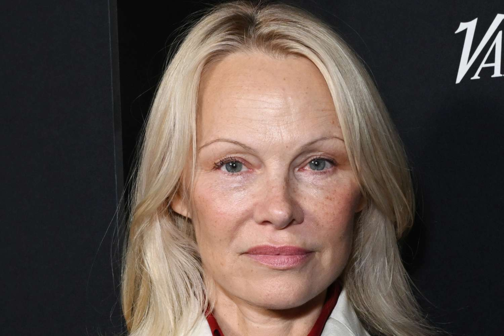 Pamela Anderson in Baywatch Jüngere Jahre Pamela Anderson Alter Entwicklung