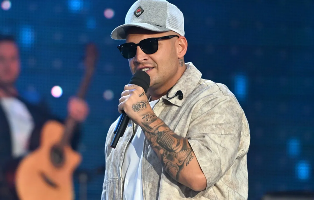 Grafik über pietro lombardi vermögen und Einnahmequellen