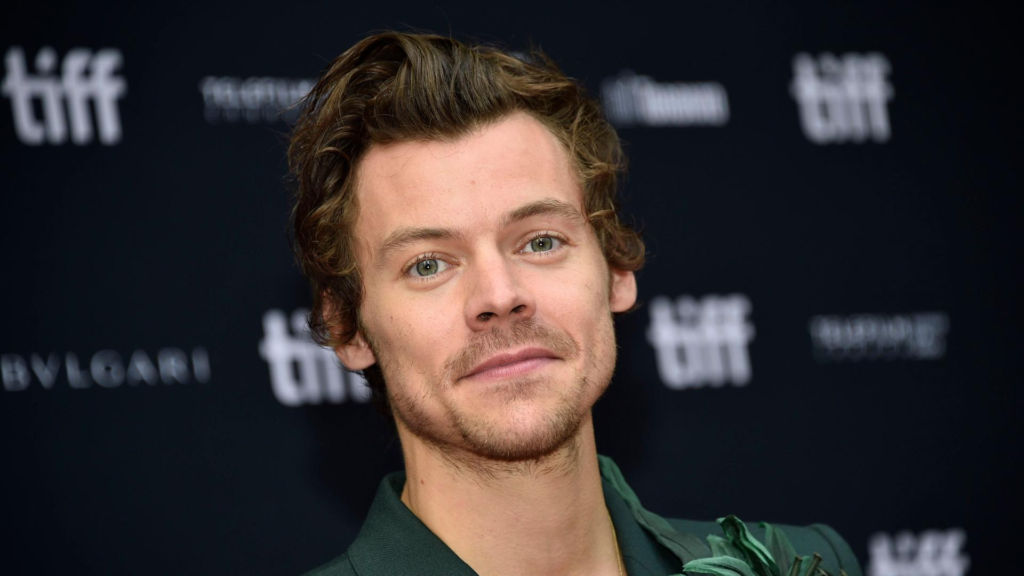 harry styles freundin gerüchte – Harry Styles Fans bei Konzert