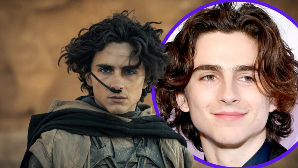 timothée chalamet freundin – Schauspieler bei einem Red-Carpet-Auftritt